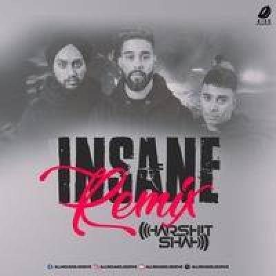 Insane Remix Mp3 Song - DJ Harshit Shah